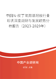 中國N-叔丁氧羰基羥胺行業(yè)現(xiàn)狀深度調(diào)研與發(fā)展趨勢分析報告（2023-2029年）