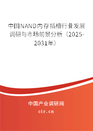 中國(guó)NAND內(nèi)存插槽行業(yè)發(fā)展調(diào)研與市場(chǎng)前景分析（2025-2031年）