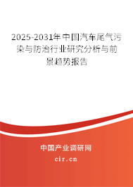 2025-2031年中國(guó)汽車尾氣污染與防治行業(yè)研究分析與前景趨勢(shì)報(bào)告
