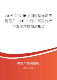 2025-2031年中國輕型電動(dòng)商用貨車（LCV）行業(yè)研究分析與發(fā)展前景預(yù)測(cè)報(bào)告