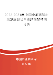 2025-2031年中國全氟磺酸樹脂發(fā)展現(xiàn)狀與市場前景預(yù)測報(bào)告