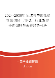 2024-2030年全球與中國熱塑性聚烯烴（TPO）行業(yè)發(fā)展全面調(diào)研與未來趨勢(shì)分析