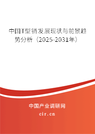 中國T型銷發(fā)展現狀與前景趨勢分析（2025-2031年）