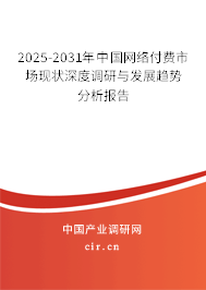 2025-2031年中國網(wǎng)絡付費市場現(xiàn)狀深度調(diào)研與發(fā)展趨勢分析報告