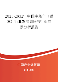 2025-2031年中國中級車（轎車）行業(yè)發(fā)展調(diào)研與行業(yè)前景分析報(bào)告