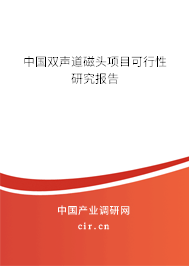 中國雙聲道磁頭項目可行性研究報告
