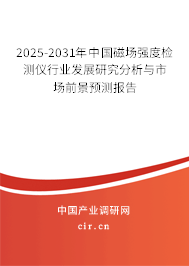 2025-2031年中國磁場強(qiáng)度檢測儀行業(yè)發(fā)展研究分析與市場前景預(yù)測報(bào)告