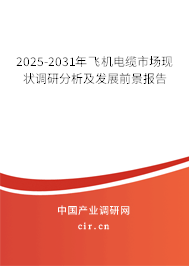 2025-2031年飛機電纜市場現(xiàn)狀調(diào)研分析及發(fā)展前景報告