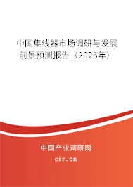 中國(guó)集線器市場(chǎng)調(diào)研與發(fā)展前景預(yù)測(cè)報(bào)告（2025年）