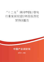 “十二五”期間中國小家電行業(yè)發(fā)展規(guī)劃分析及投資前景預(yù)測報告