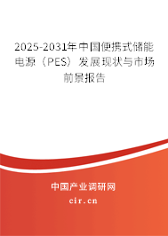 2025-2031年中國便攜式儲能電源（PES）發(fā)展現(xiàn)狀與市場前景報告