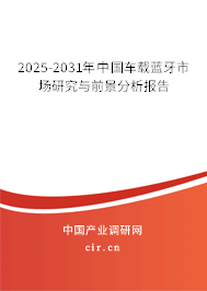 2025-2031年中國(guó)車載藍(lán)牙市場(chǎng)研究與前景分析報(bào)告