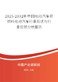 2025-2031年中國電動汽車和燃料電池汽車行業(yè)現(xiàn)狀與行業(yè)前景分析報告