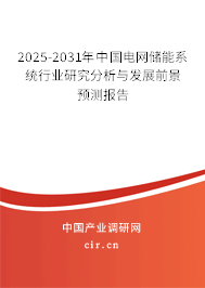 2025-2031年中國電網(wǎng)儲(chǔ)能系統(tǒng)行業(yè)研究分析與發(fā)展前景預(yù)測報(bào)告