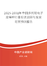 2025-2031年中國多托輥電子皮帶秤行業(yè)現(xiàn)狀調(diào)研與發(fā)展前景預(yù)測報(bào)告