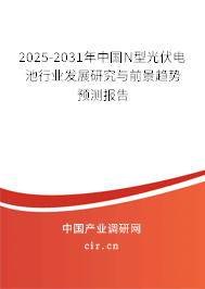 2025-2031年中國N型光伏電池行業(yè)發(fā)展研究與前景趨勢預(yù)測報告