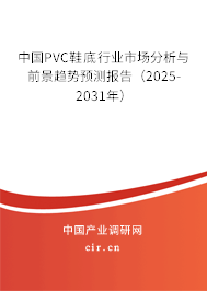 中國PVC鞋底行業(yè)市場分析與前景趨勢預(yù)測報告（2025-2031年）
