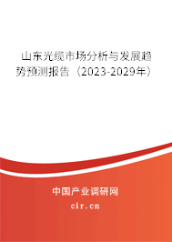 山東光纜市場(chǎng)分析與發(fā)展趨勢(shì)預(yù)測(cè)報(bào)告（2023-2029年）