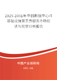 2025-2031年中國數(shù)據(jù)中心IT基礎(chǔ)設(shè)施第三方服務(wù)市場現(xiàn)狀與前景分析報告