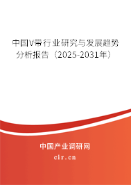 中國V帶行業(yè)研究與發(fā)展趨勢(shì)分析報(bào)告(2025-2031年) 中國V帶行業(yè)研究與發(fā)展趨勢(shì)分析報(bào)告(2025-2031年)