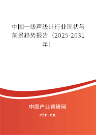 中國(guó)一級(jí)聲級(jí)計(jì)行業(yè)現(xiàn)狀與前景趨勢(shì)報(bào)告（2025-2031年）