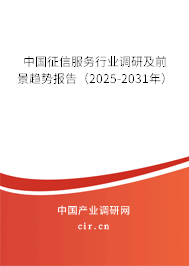 中國征信服務(wù)行業(yè)調(diào)研及前景趨勢報告(2025-2031年) 中國征信服務(wù)行業(yè)調(diào)研及前景趨勢報告(2025-2031年)