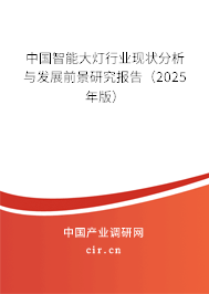 中國(guó)智能大燈行業(yè)現(xiàn)狀分析與發(fā)展前景研究報(bào)告（2025年版）