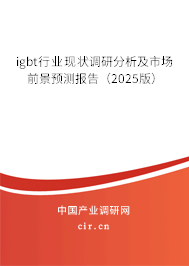 igbt行業(yè)現狀調研分析及市場前景預測報告（2025版）