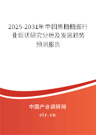 2025-2031年中國焦糖糖醬行業(yè)現(xiàn)狀研究分析及發(fā)展趨勢預測報告