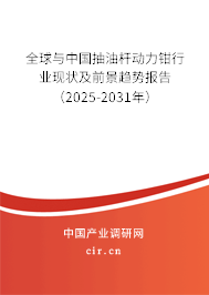 全球與中國抽油桿動力鉗行業(yè)現(xiàn)狀及前景趨勢報告（2025-2031年）