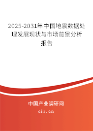 2025-2031年中國地震數(shù)據(jù)處理發(fā)展現(xiàn)狀與市場前景分析報告