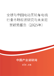 全球與中國電動三輪車電機行業(yè)市場現(xiàn)狀研究與未來前景趨勢報告（2025年）