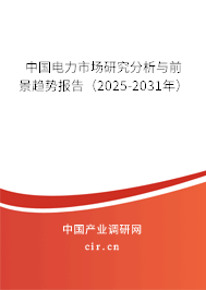 中國電力市場研究分析與前景趨勢報告（2025-2031年）