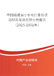 中國福建省小水電行業(yè)現(xiàn)狀調(diào)研及發(fā)展前景分析報告（2025-2031年）