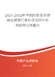 2025-2031年中國(guó)高性能釹鐵硼永磁鐵行業(yè)現(xiàn)狀調(diào)研與前景趨勢(shì)分析報(bào)告