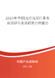 2025年中國光纖光纜行業(yè)發(fā)展調(diào)研與發(fā)展趨勢分析報告