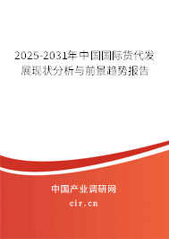 2025-2031年中國國際貨代發(fā)展現(xiàn)狀分析與前景趨勢報告