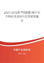 2025-2031年中國國際旅行社市場現(xiàn)狀調研與前景趨勢報告