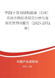 中國計算機輔助翻譯（CAT）系統(tǒng)市場現(xiàn)狀研究分析與發(fā)展前景預(yù)測報告（2025-2031年）