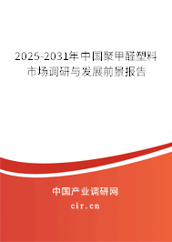 2025-2031年中國聚甲醛塑料市場調(diào)研與發(fā)展前景報(bào)告