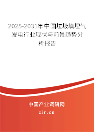 2025-2031年中國(guó)垃圾填埋氣發(fā)電行業(yè)現(xiàn)狀與前景趨勢(shì)分析報(bào)告