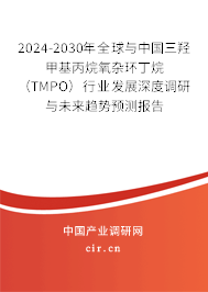 2024-2030年全球與中國三羥甲基丙烷氧雜環(huán)丁烷(TMPO)行業(yè)發(fā)展深度調(diào)研與未來趨勢預(yù)測報(bào)告 2024-2030年全球與中國三羥甲基丙烷氧雜環(huán)丁烷(TMPO)行業(yè)發(fā)展深度調(diào)研與未來趨勢預(yù)測報(bào)告