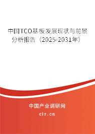 中國TCO基板發(fā)展現(xiàn)狀與前景分析報告（2025-2031年）