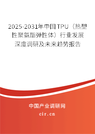 2025-2031年中國(guó)TPU（熱塑性聚氨酯彈性體）行業(yè)發(fā)展深度調(diào)研及未來(lái)趨勢(shì)報(bào)告