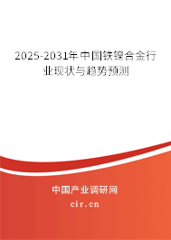 2025-2031年中國鐵鎳合金行業(yè)現(xiàn)狀與趨勢預(yù)測