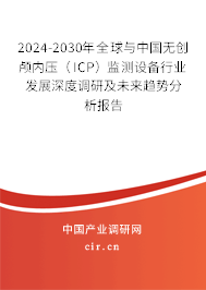 2024-2030年全球與中國無創(chuàng)顱內壓（ICP）監(jiān)測設備行業(yè)發(fā)展深度調研及未來趨勢分析報告
