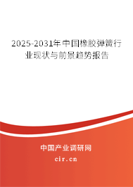 2024-2030年中國橡膠彈簧行業(yè)現(xiàn)狀與前景趨勢報告