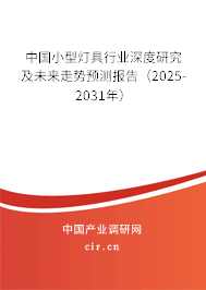 中國小型燈具行業(yè)深度研究及未來走勢預(yù)測報告（2025-2031年）
