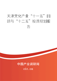 天津文化產(chǎn)業(yè)“十一五”回顧與“十二五”投資規(guī)劃報(bào)告