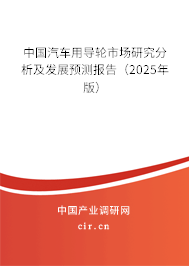 中國(guó)汽車(chē)用導(dǎo)輪市場(chǎng)研究分析及發(fā)展預(yù)測(cè)報(bào)告（2025年版）